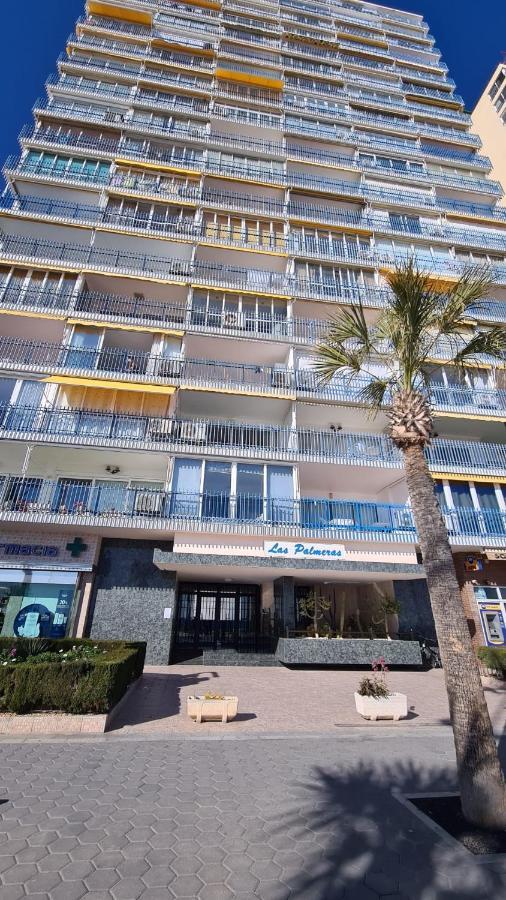 Estudio Las Palmeras 12 If Benidorm Dış mekan fotoğraf
